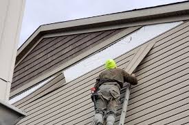 Best Insulated Siding Installation  in Bayard, NE